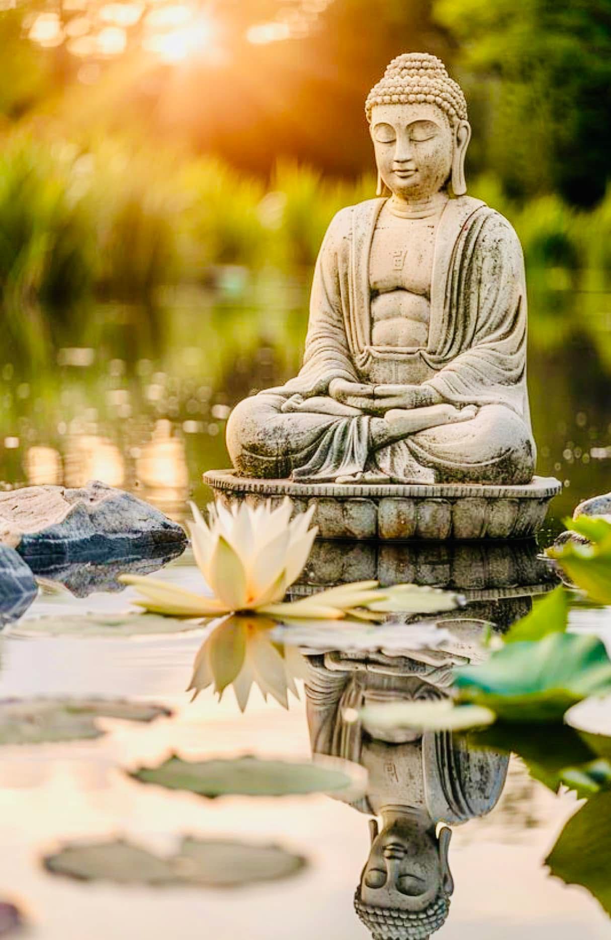 Benefits of vipassana Benefits of vipassana